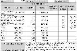 西双版纳为什么选择专业追讨公司来处理您的债务纠纷？